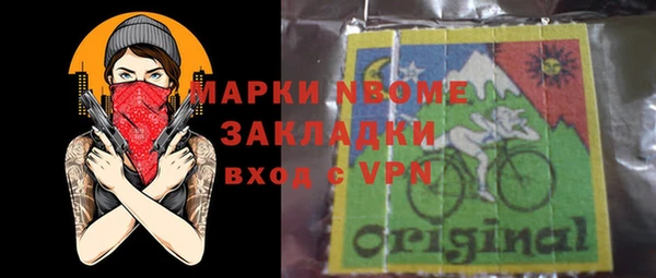 индика Киреевск