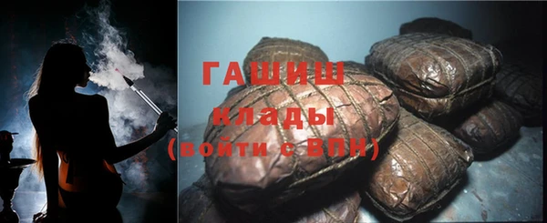 индика Киреевск