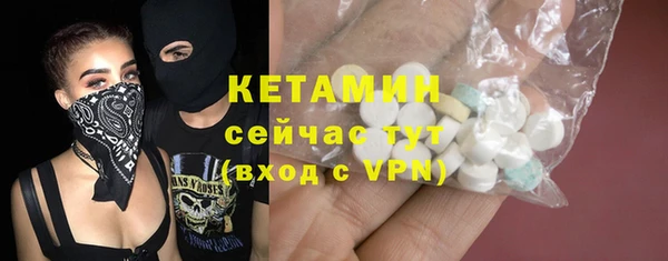 индика Киреевск