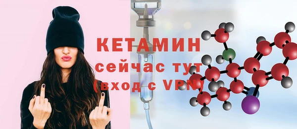 индика Киреевск