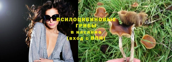 ECSTASY Кинешма