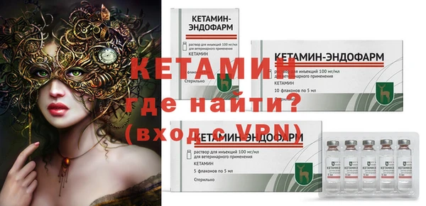 индика Киреевск