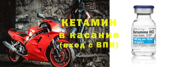 индика Киреевск